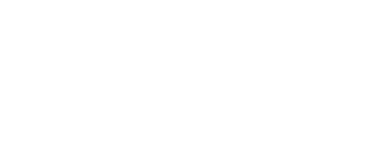 Denuncia León